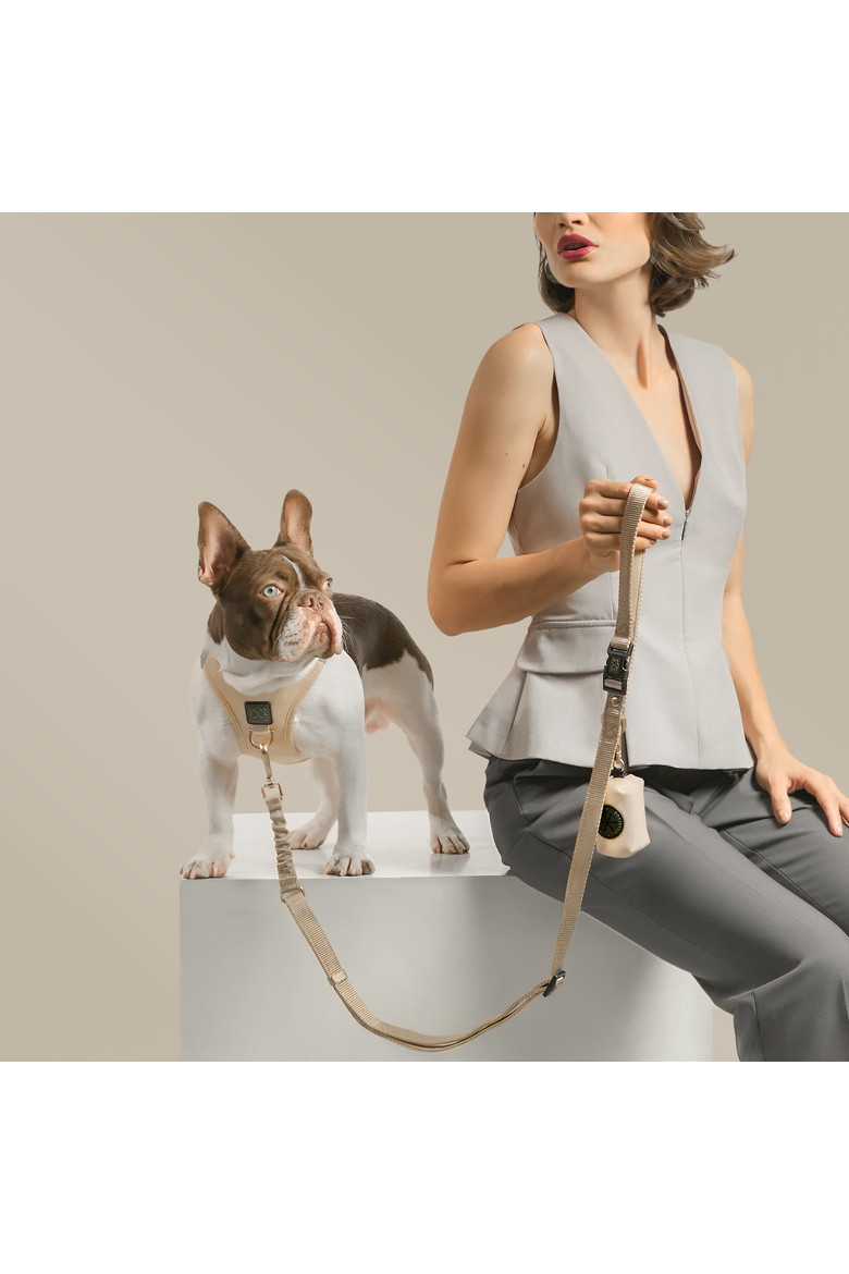 3-in-1 City Dog Leash, Alternate, color, Dune