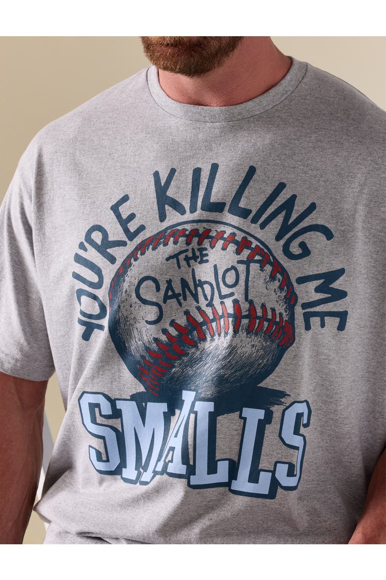 Big & Tall You're Killing Me Smalls Graphic Tee, Alternate, color, GREY HEATHER