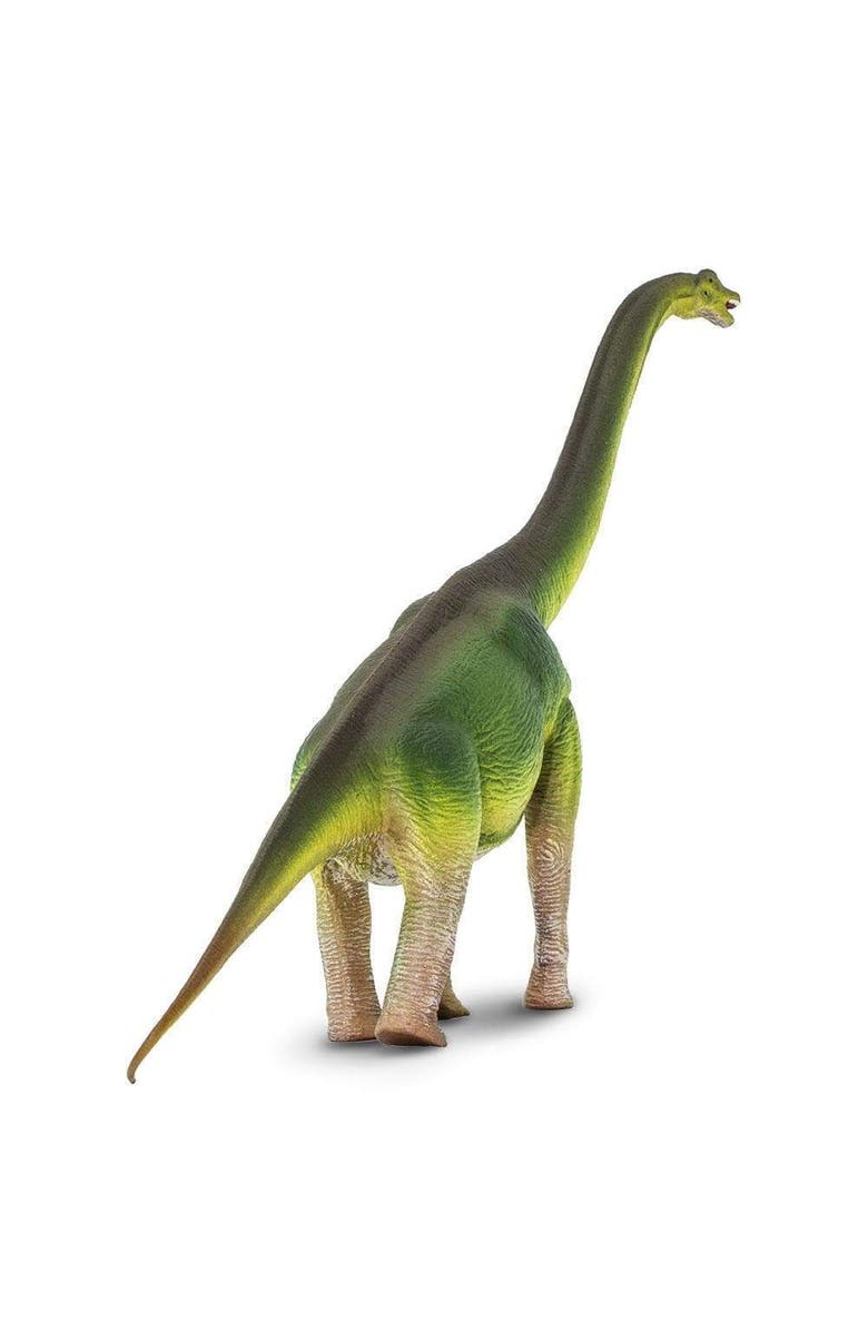 Safari Ltd. Brachiosaurus Toy, Alternate, color, Light Green