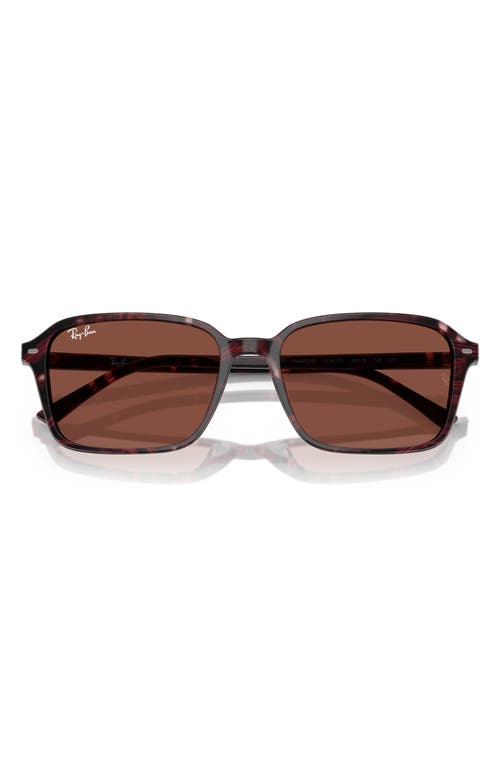 Ray Ban Ray-ban 58mm Square Sunglasses In Red
