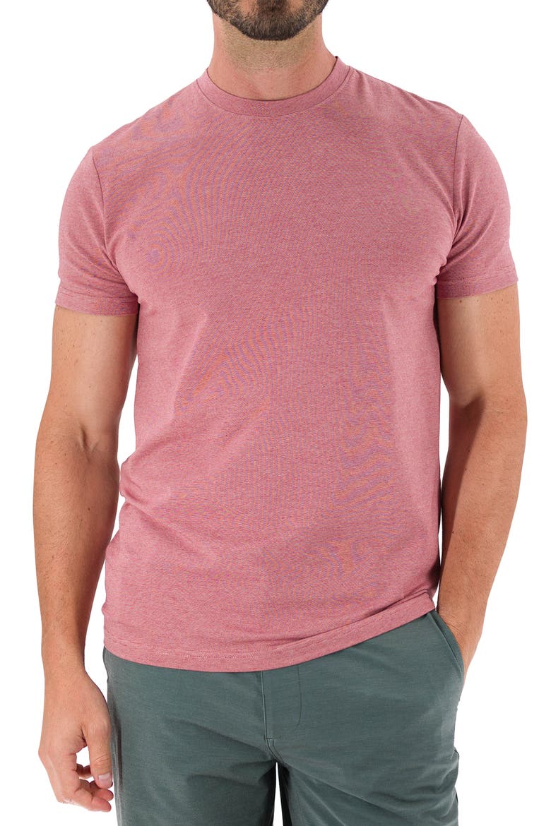 Feeder Stripe T-Shirt, Main, color, MELANGE WITHERED ROSE