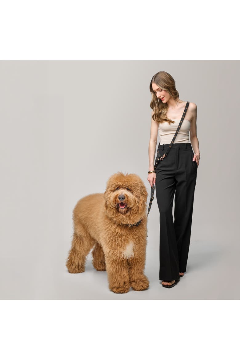 Metro Hands Free Leash, Alternate, color, Rockstar