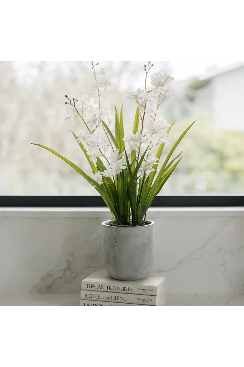 20.5" Artificial White Orchid in Stone-Grey Vanda Pot, Alternate, color, White