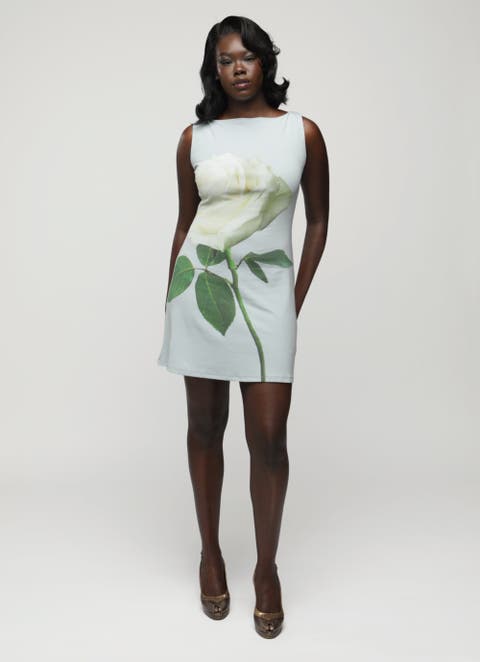 Dottie Dress (Plus Size)
