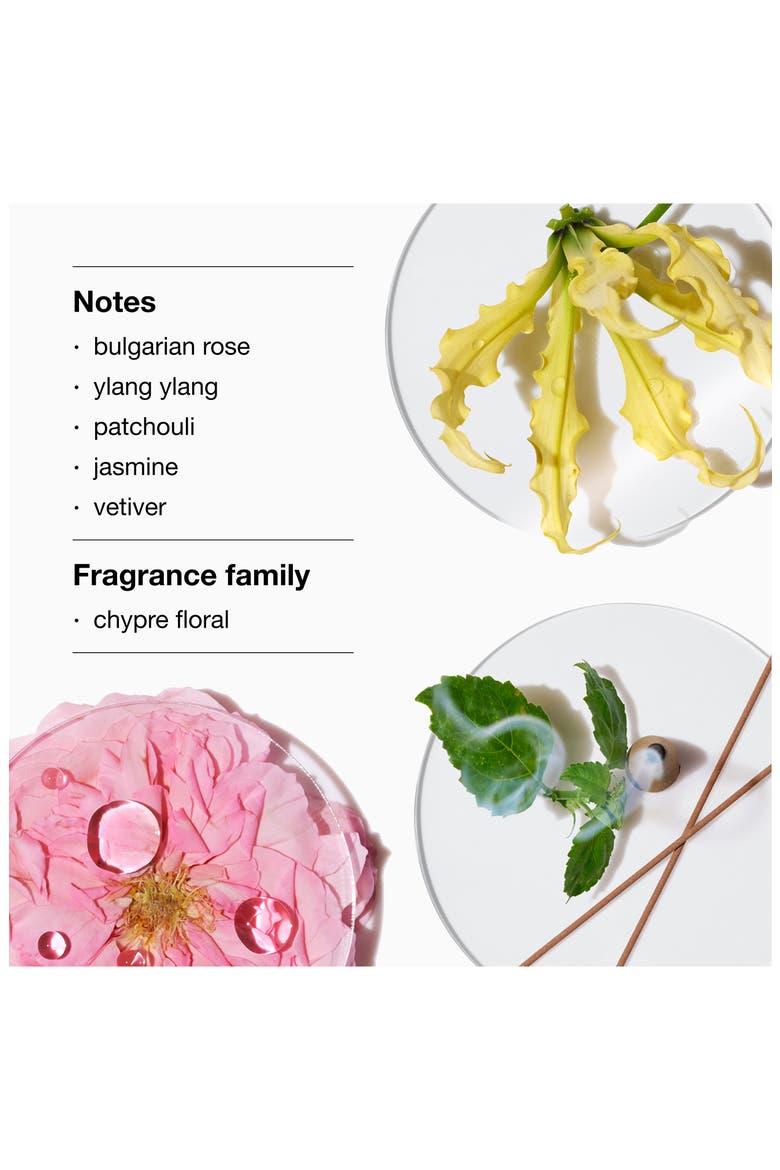 Aromatics Elixir, Alternate, color, NO COLOR