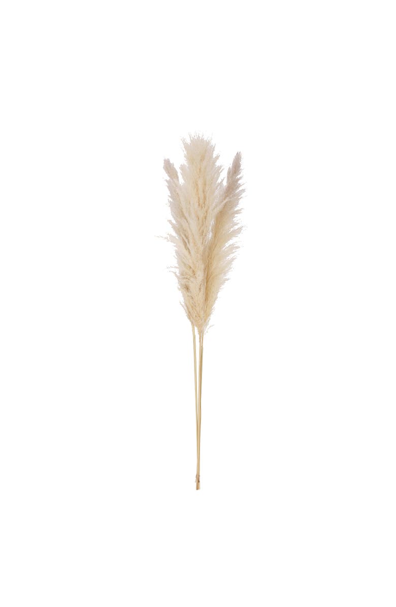 Storied Home Dried Pampas Grass Bunch, Natural, Main, color, Natural