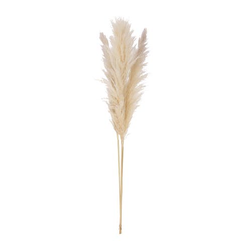 Dried Pampas Grass Bunch, Natural
