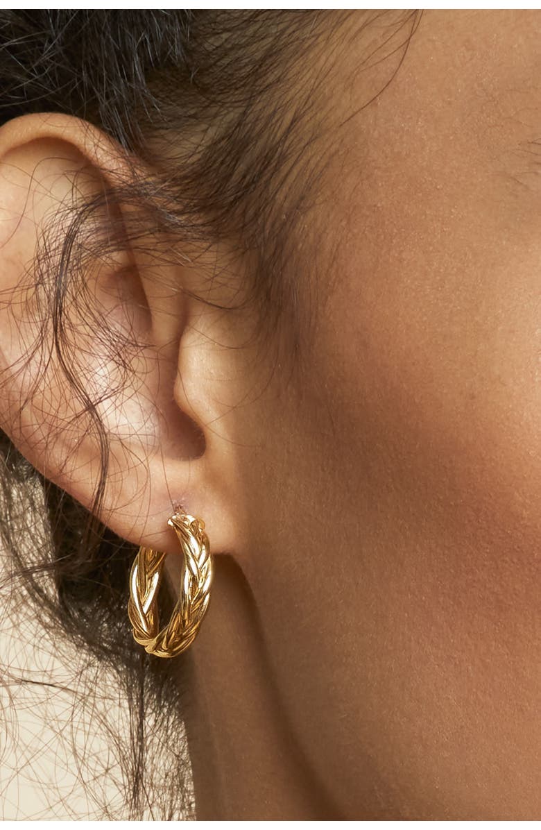 Oradina 14K Yellow Gold Caesar Midi Hoops, Alternate, color, Yellow Gold