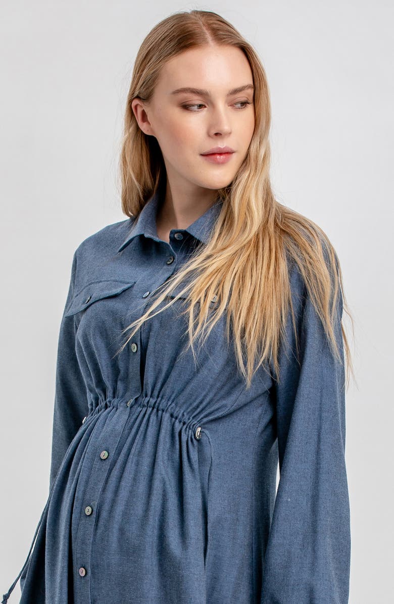 PIETRO BRUNELLI MATERNITY Erica Long Sleeve Denim Maternity Shirtdress, Alternate, color, Avion Blue
