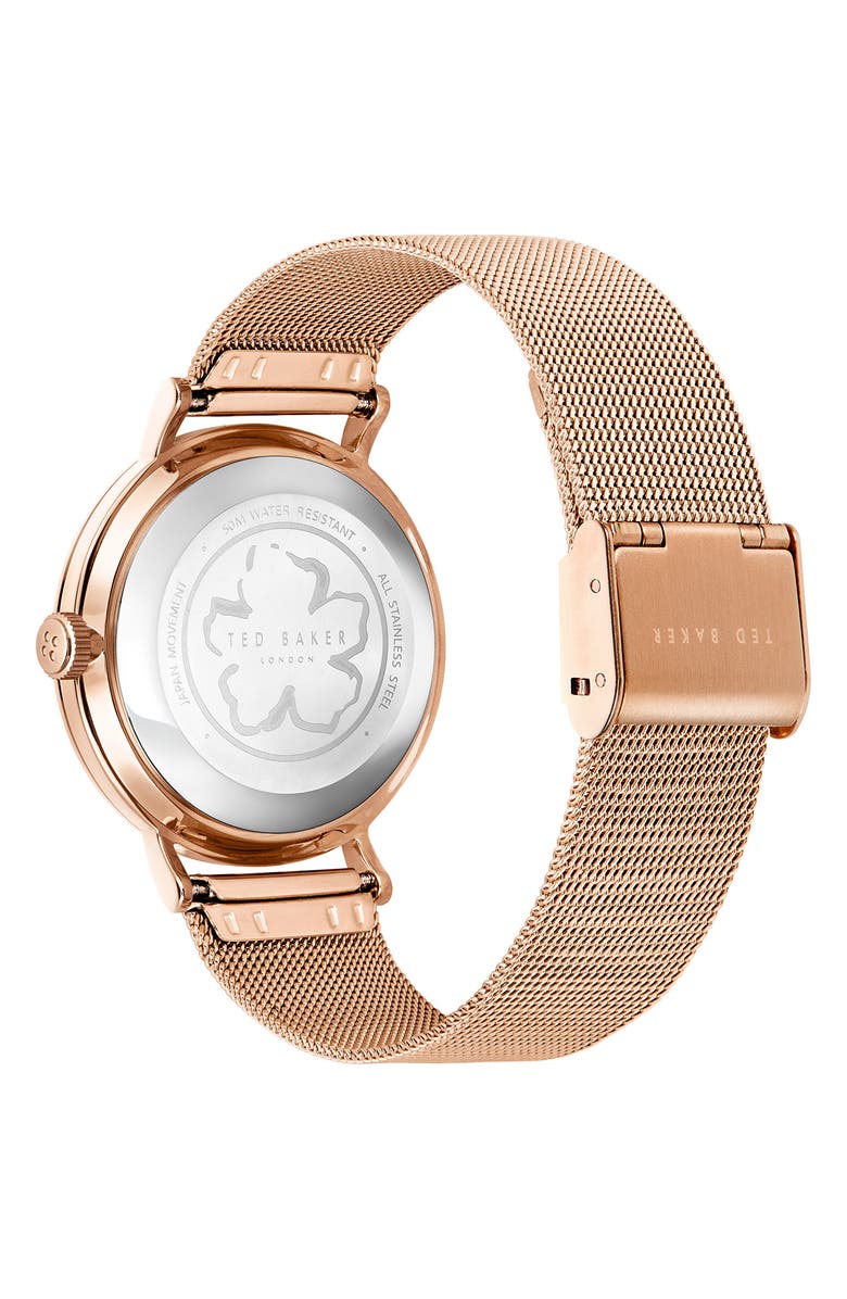 Ted Baker London Phylipa Retro Mesh Strap Watch, 37mm, Alternate, color, 