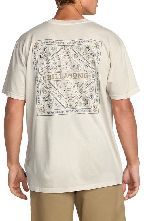Billabong Praise Haze Graphic T-shirt In Neutral