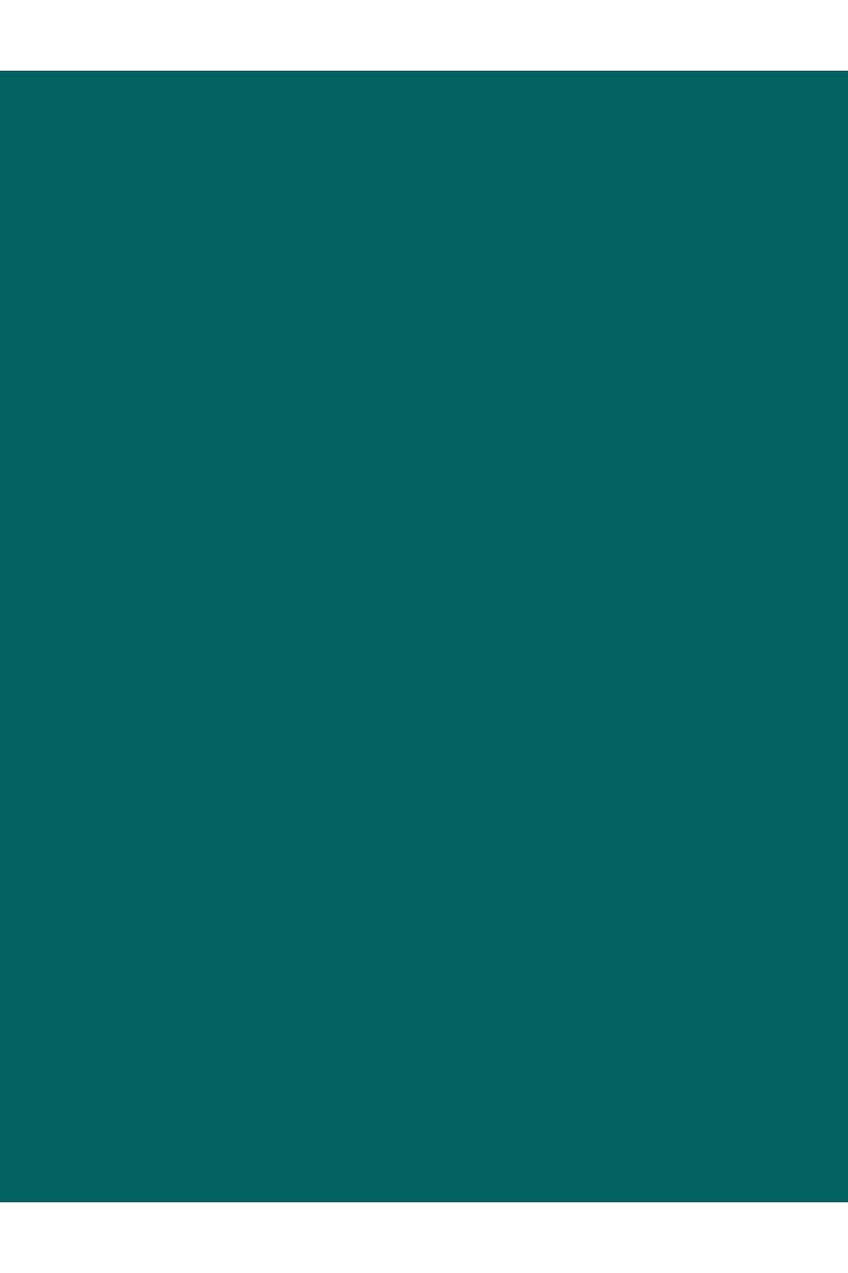 Geelong Wool Slouch Turtleneck Sweater, Alternate, color, SEA GREEN