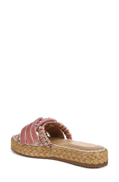 Circus Ny By Sam Edelman Wyatt Slide Sandal In Pink