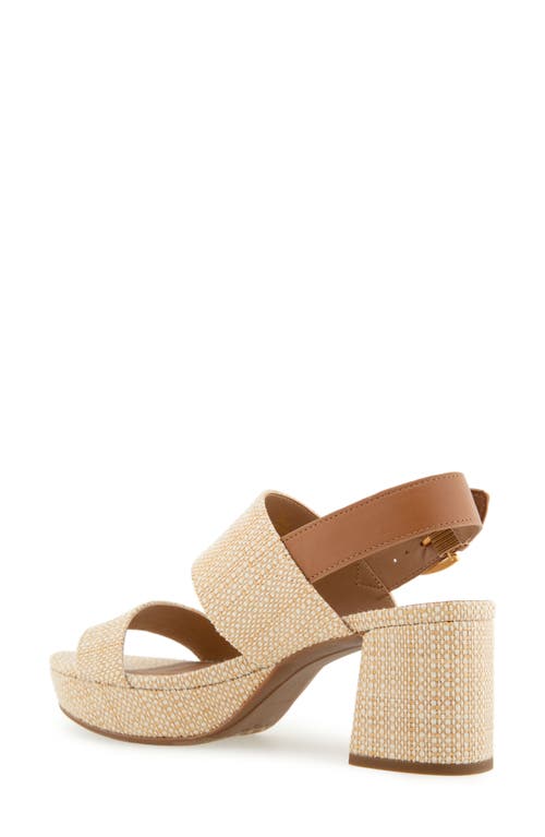 AEROSOLES AEROSOLES CAMILIA PLATFORM SANDAL