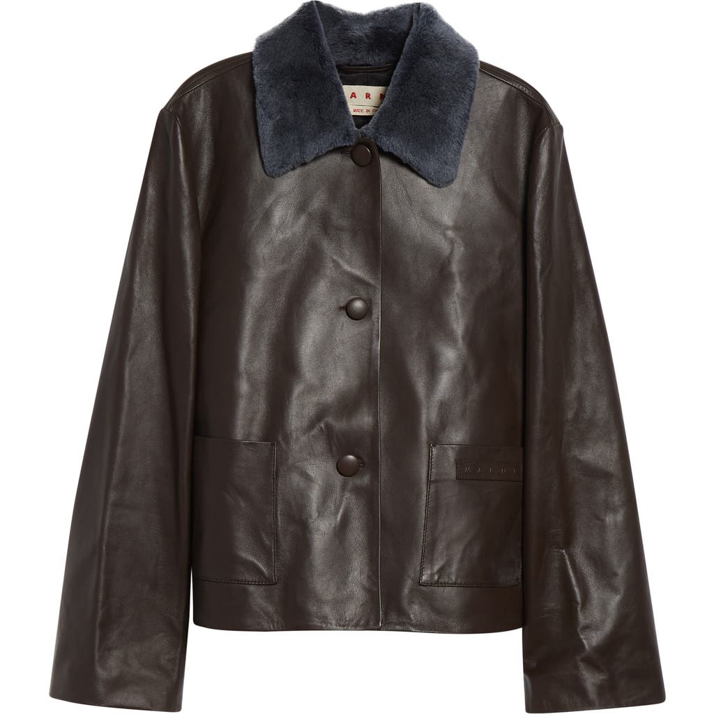 Paloma Wool Plomy Leather Crossover Jacket In Brown