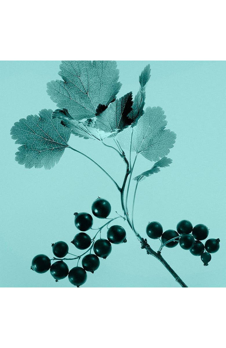 Tiffany & Co. Tiffany Sheer Eau de Toilette, Alternate, color, 