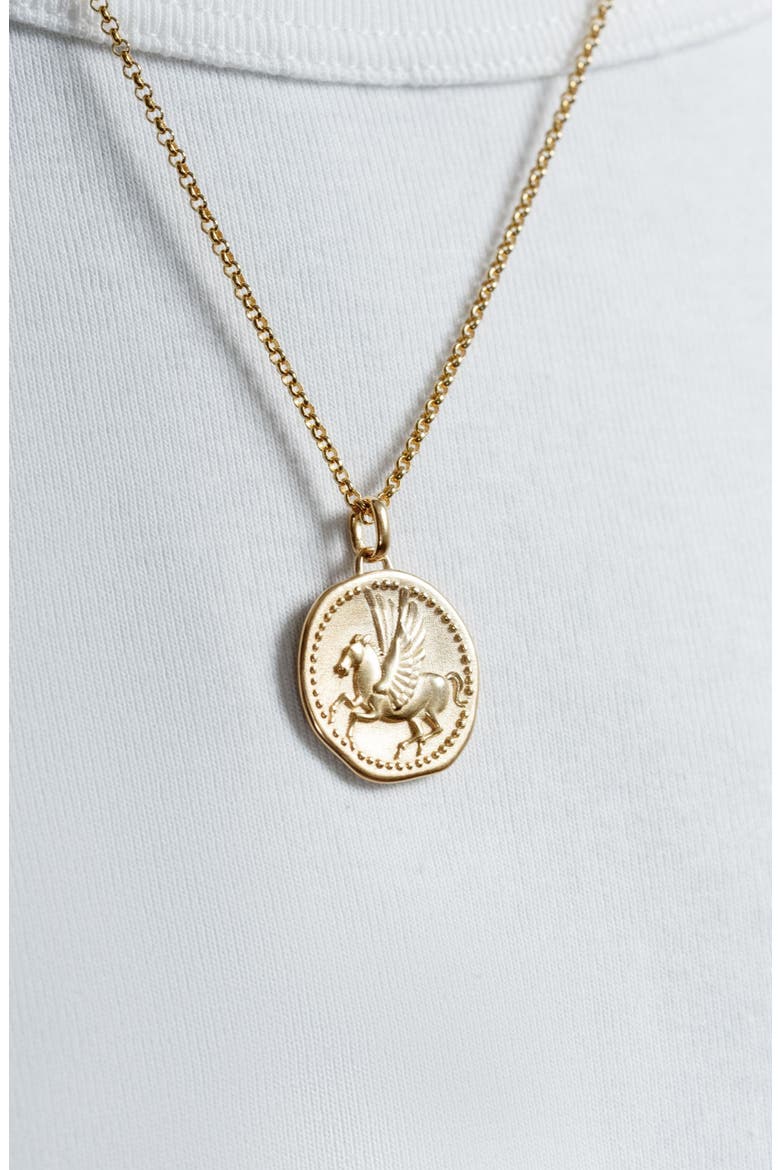 Men's 'Overcome and Thrive' Pegasus Talisman Necklace, Alternate, color, Yellow Gold Vermeil
