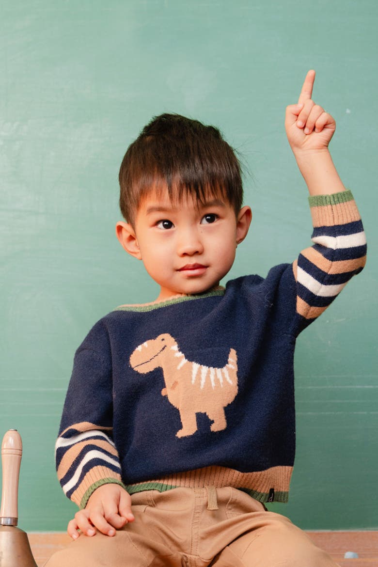 Dino Intarsia Striped Ribbed Cuffs Knit Sweater, Alternate, color, Dark Blue, Brown and Beige