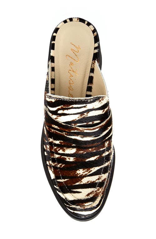 Matisse Kelly Clog In Multi