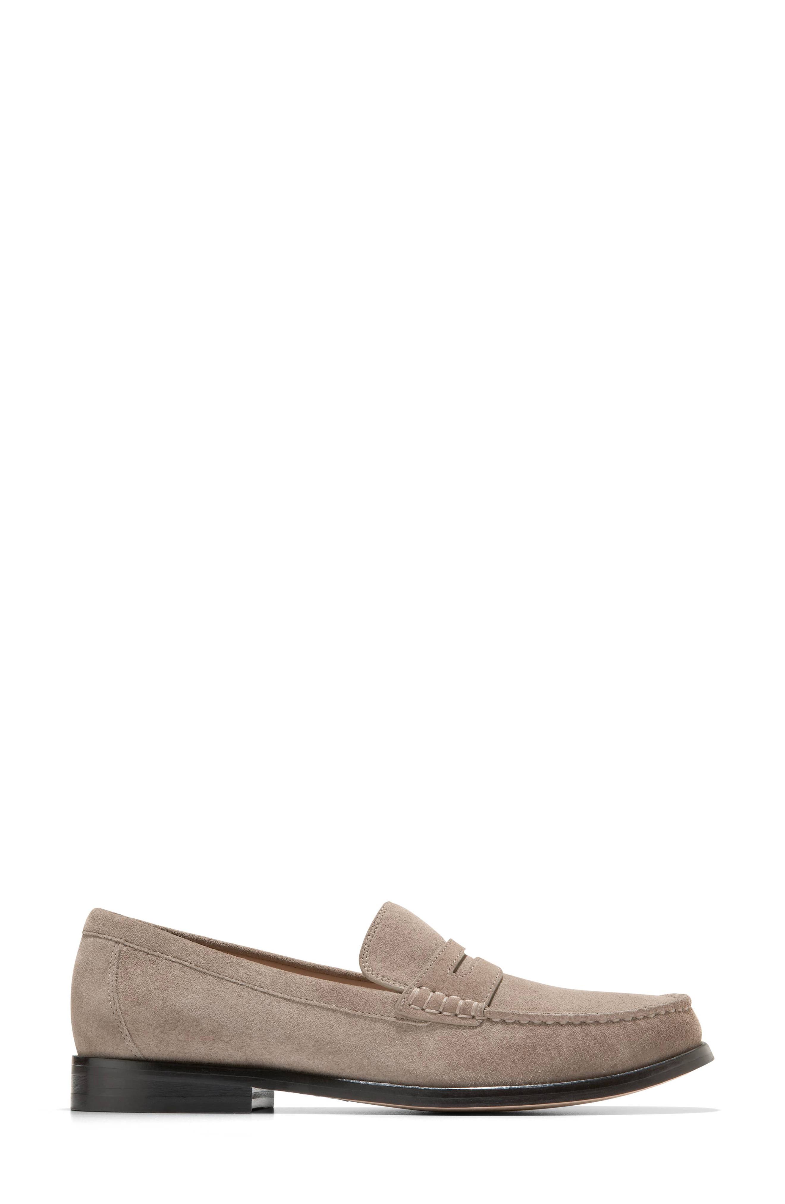 Lana Luxe Penny Loafer, Alternate, color, CH IRISH COFFEE SUEDE