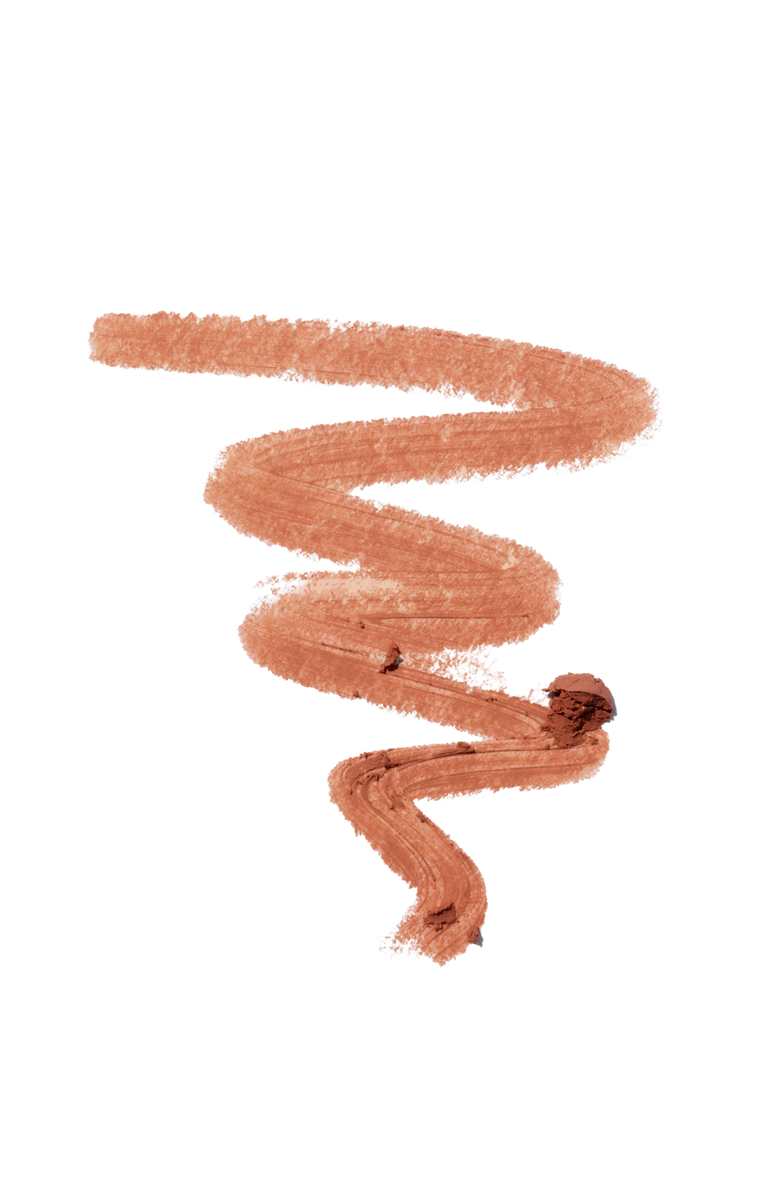 REINA REBELDE Bold Lip Matte Stick, Full-Coverage, Matte Finish Lipstick, Alternate, color, Tranquila Tropical