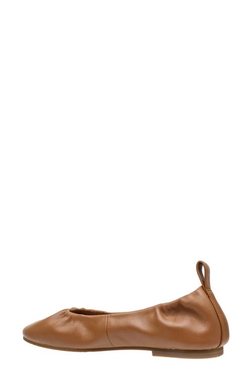 Linea Paolo Newry Ballet Flat In Brown