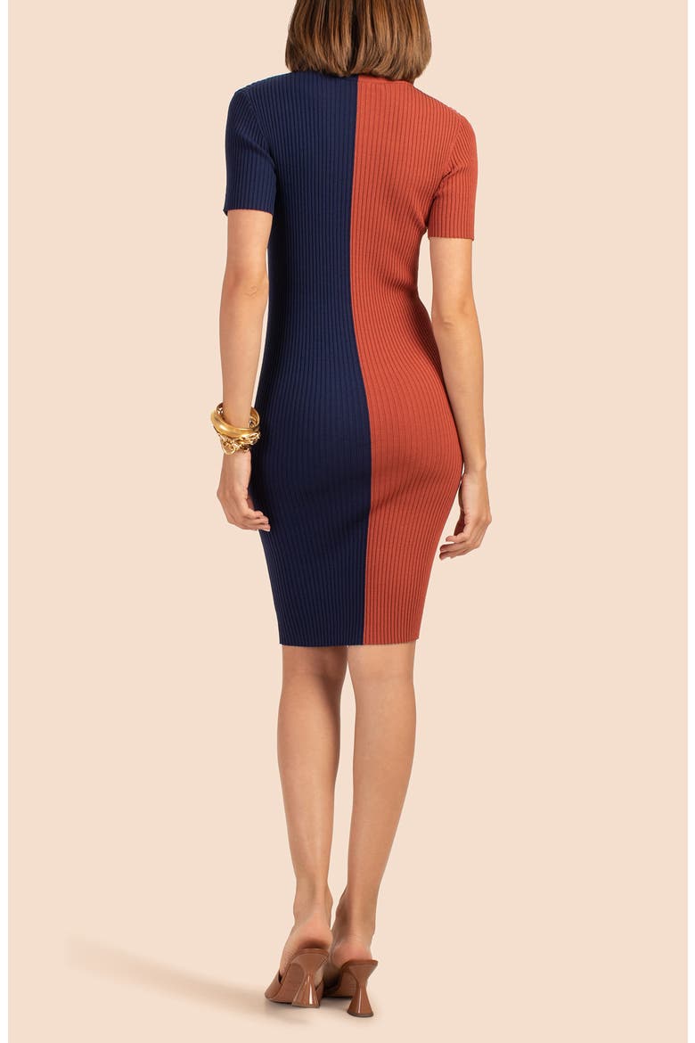 Vivika Colorblock Minidress, Alternate, color, CINNAMON/ INDIGO