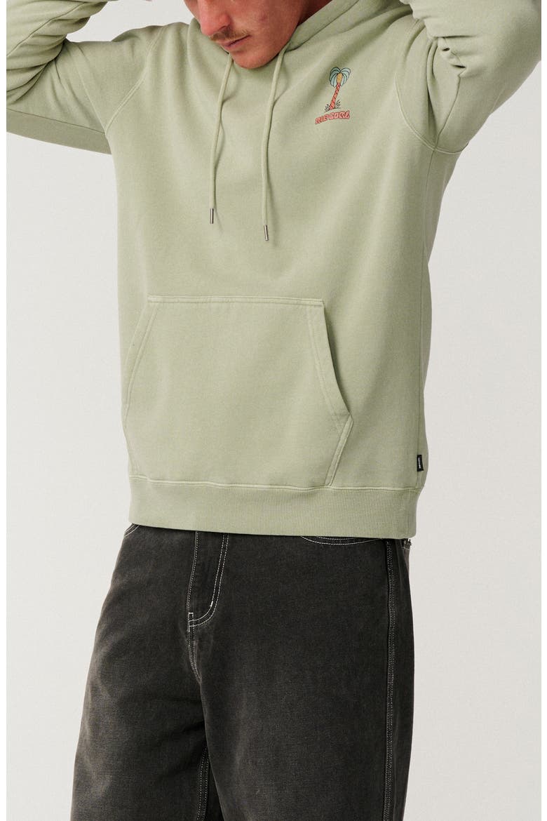Pacific Rinse Pulllover Hoodie, Alternate, color, SAGE