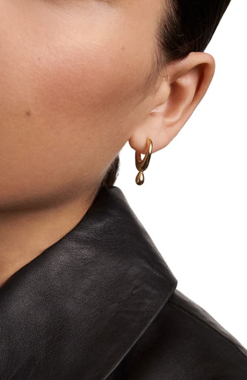 Pdpaola Lava Hoops In Gold