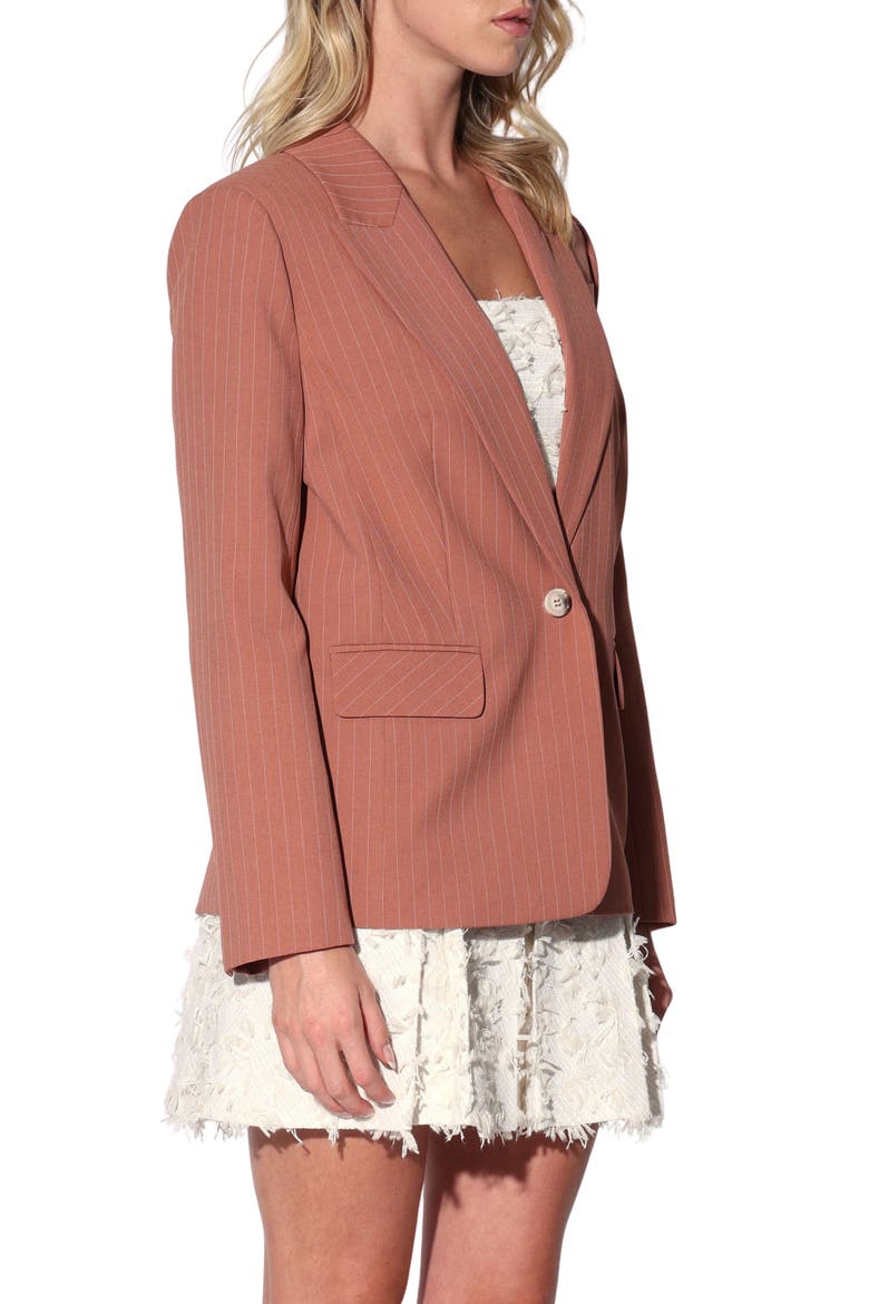 Serena Pinstripe Blazer, Alternate, color, CLAY PINSTRIPE