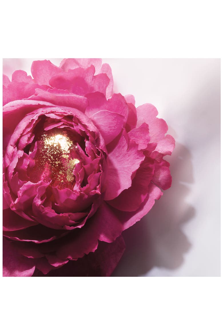Absolue Precious Cells SPF 15 Repairing and Recovering Moisturizer Cream, Alternate, color, NO COLOR