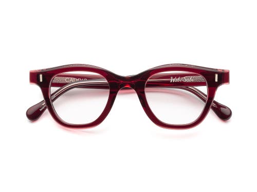 Caddis Wabi Sabi | Reading Glasses