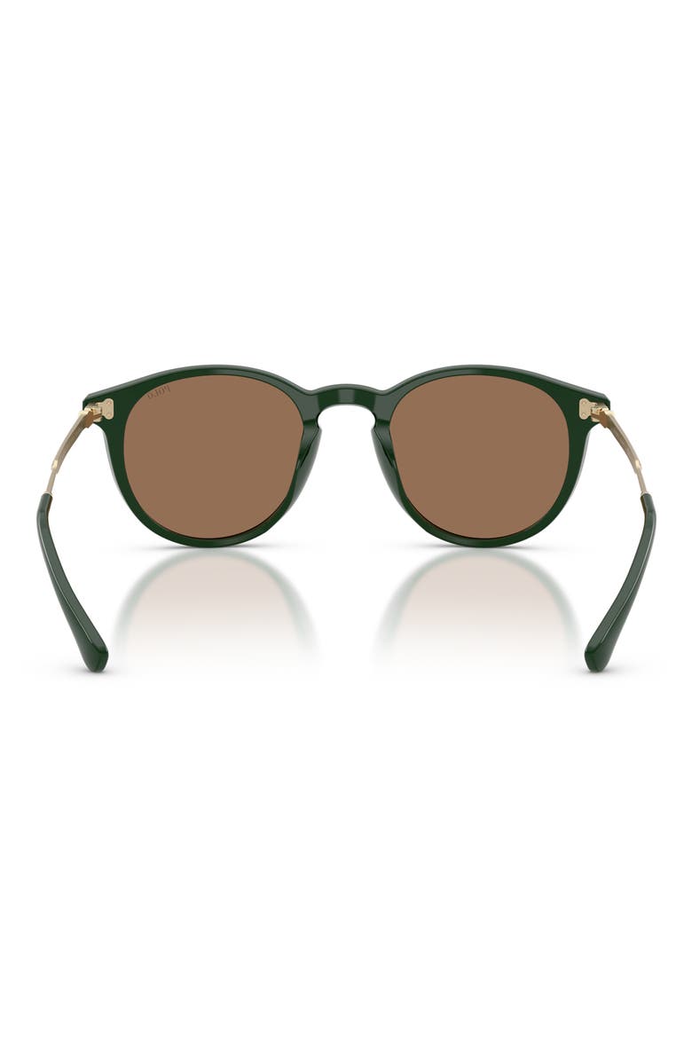50mm Phantos Sunglasses, Alternate, color, SOLID GREEN / DARK BROWN