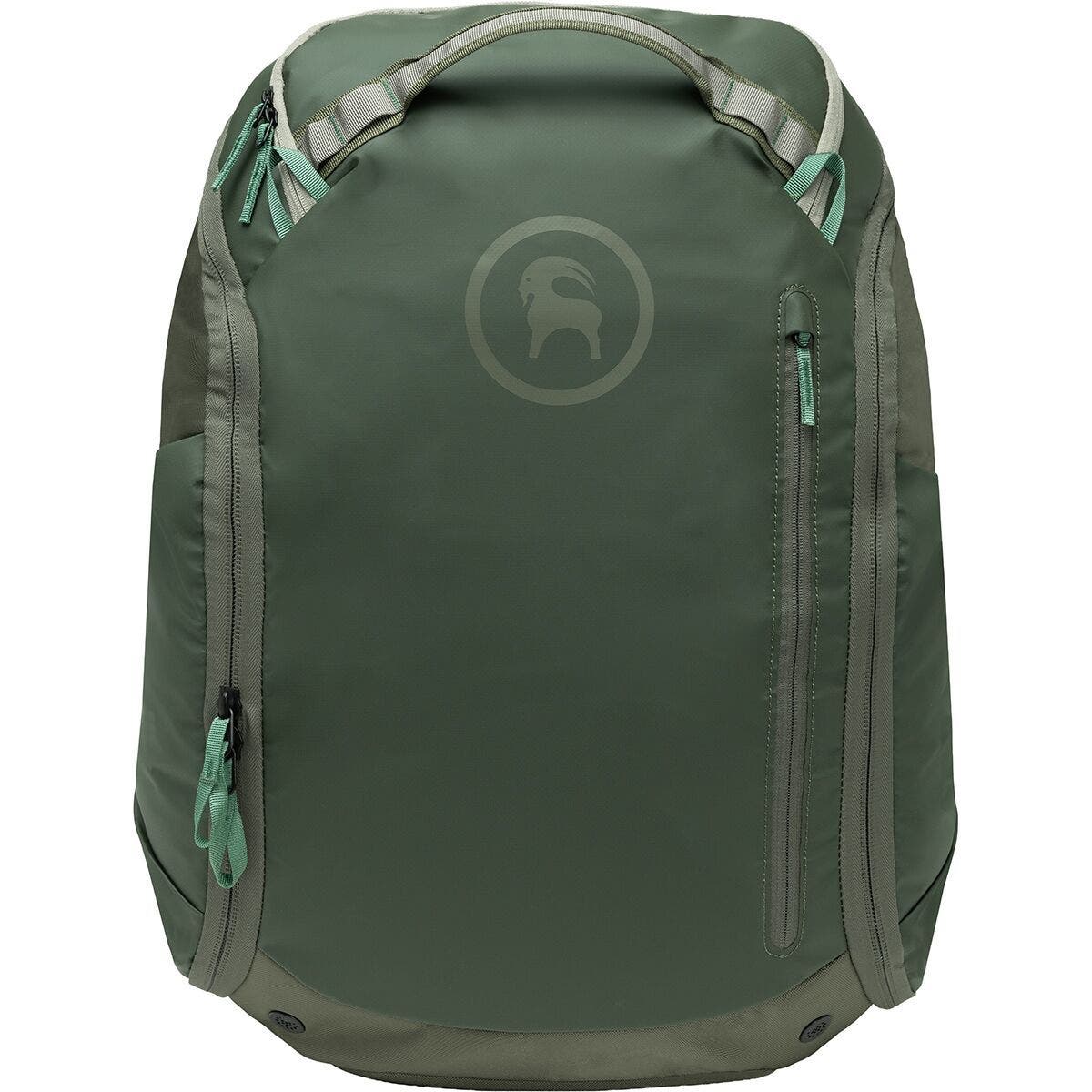  Climbing Ivy/Kalamata