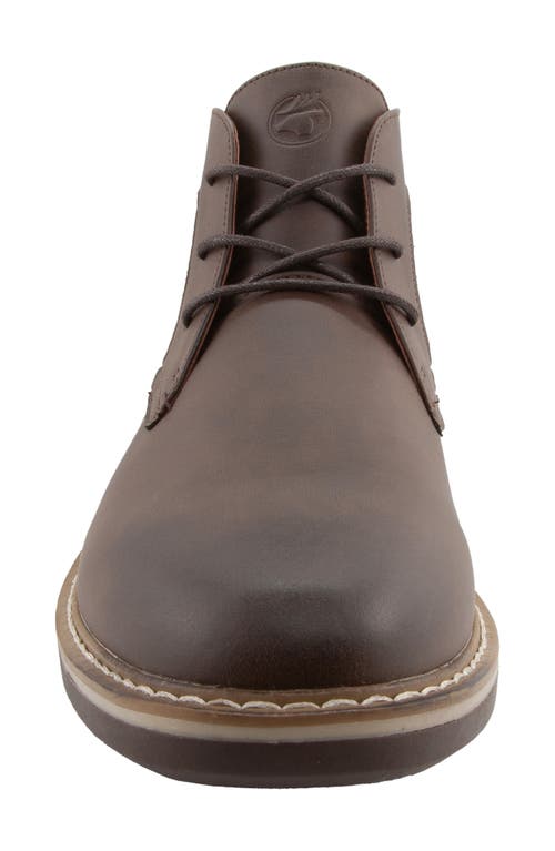 Deer Stags Garfield Plain Toe Chukka Boot In Brown