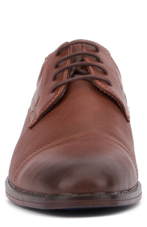 X-ray Xray Rhinos Cap Toe Derby In Cognac