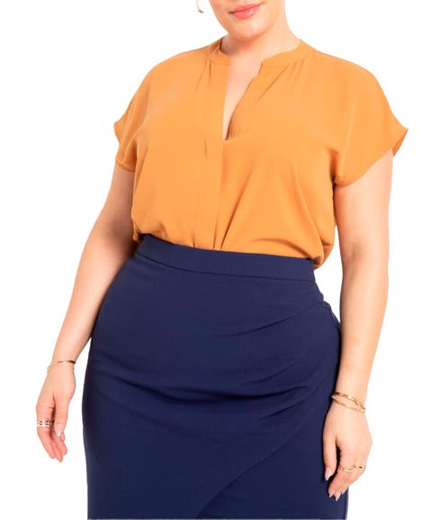 Notch Collar Blouse (Plus Available)