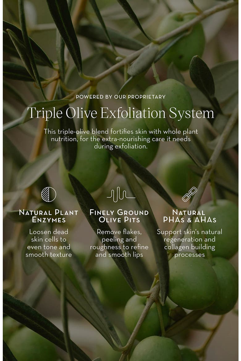 Triple Olive Lip Polish, Alternate, color, NO COLOR