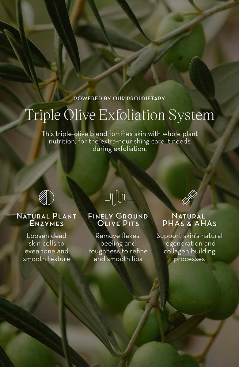 Furtuna Skin Triple Olive Lip Polish, Alternate, color,