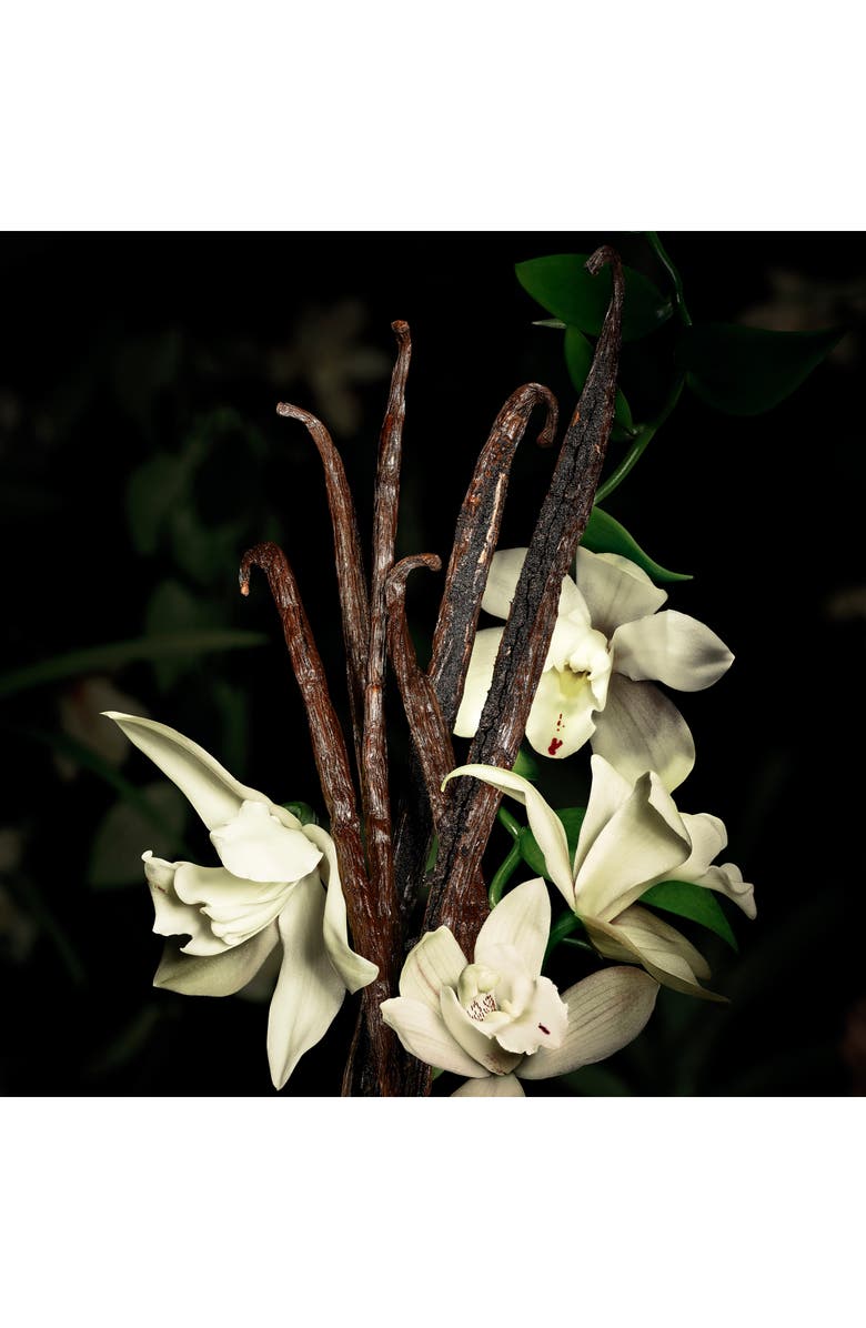 Yves Saint Laurent Babycat - Le Vestiaire des Parfums, Alternate, color, 