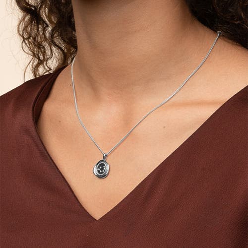 Bearfruit Jewelry 14k Gold Plated Seal Constellation Necklace 12 Zodiac Signs Holiday Gift Guide