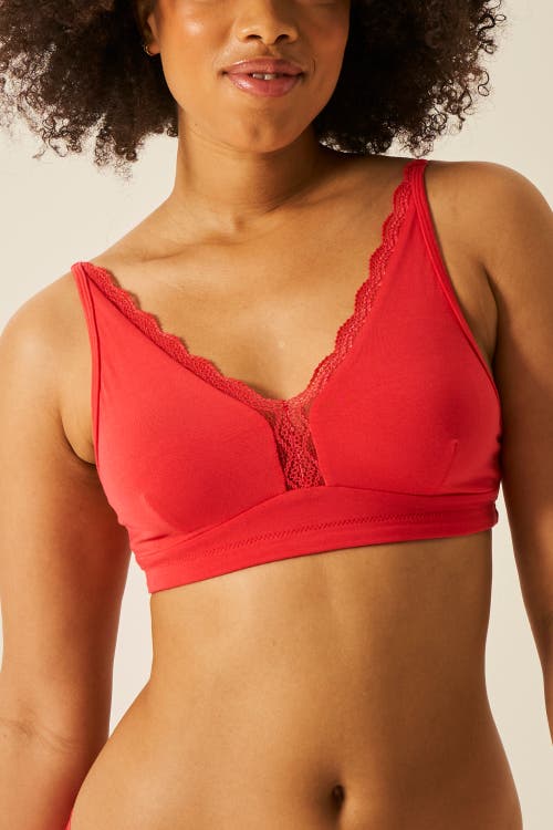 Stripe & Stare The Lace Plunge & Original Knicker Set In Hibiscus