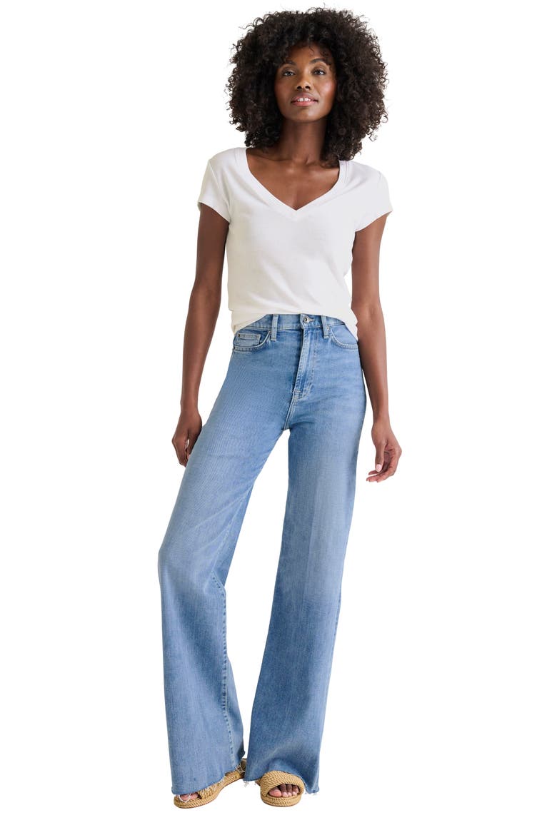 Faye V-Neck Tee, Alternate, color, WHITE