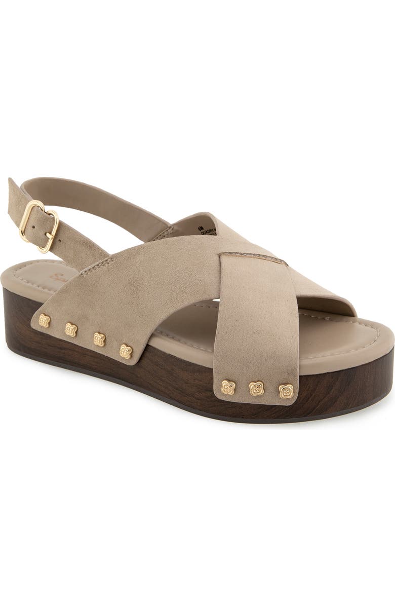 Splendid Quandry Woodgrain Platform Slingback Sandal, Main, color, Moonstone