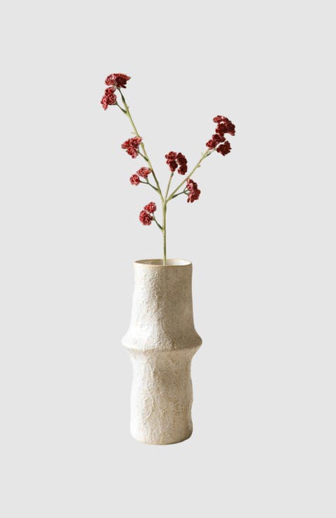 Red Succulent Stem