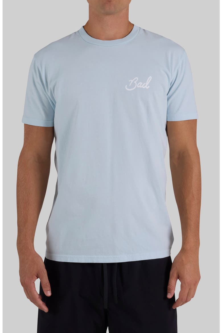 Birdie Cotton Graphic T-Shirt, Main, color, BABY BLUE