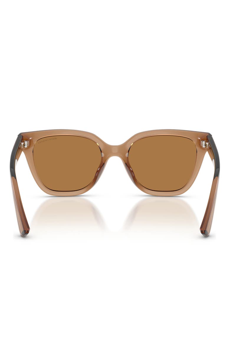 AX Armani Exchange 53mm Cat Eye Sunglasses, Alternate, color, Shiny Brown / Bronze