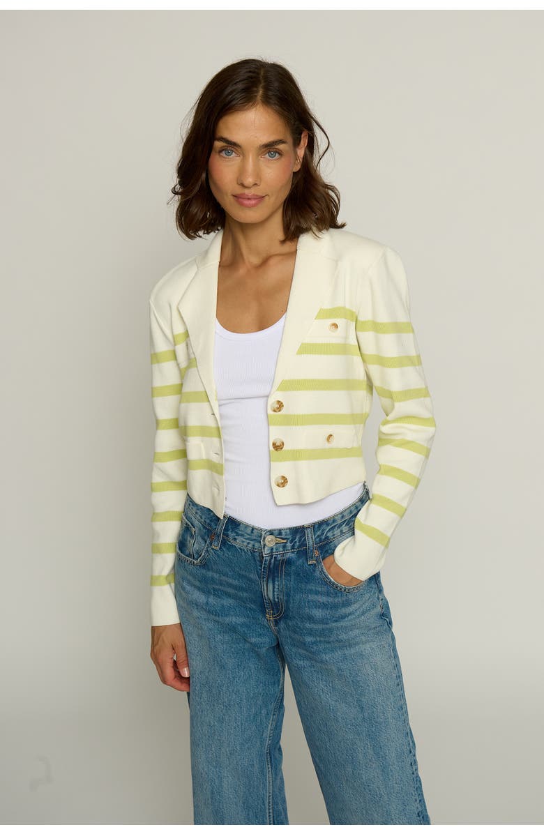 Central Park West STRIPE KNIT BLAZER, Main, color, Citron Stripe Citr