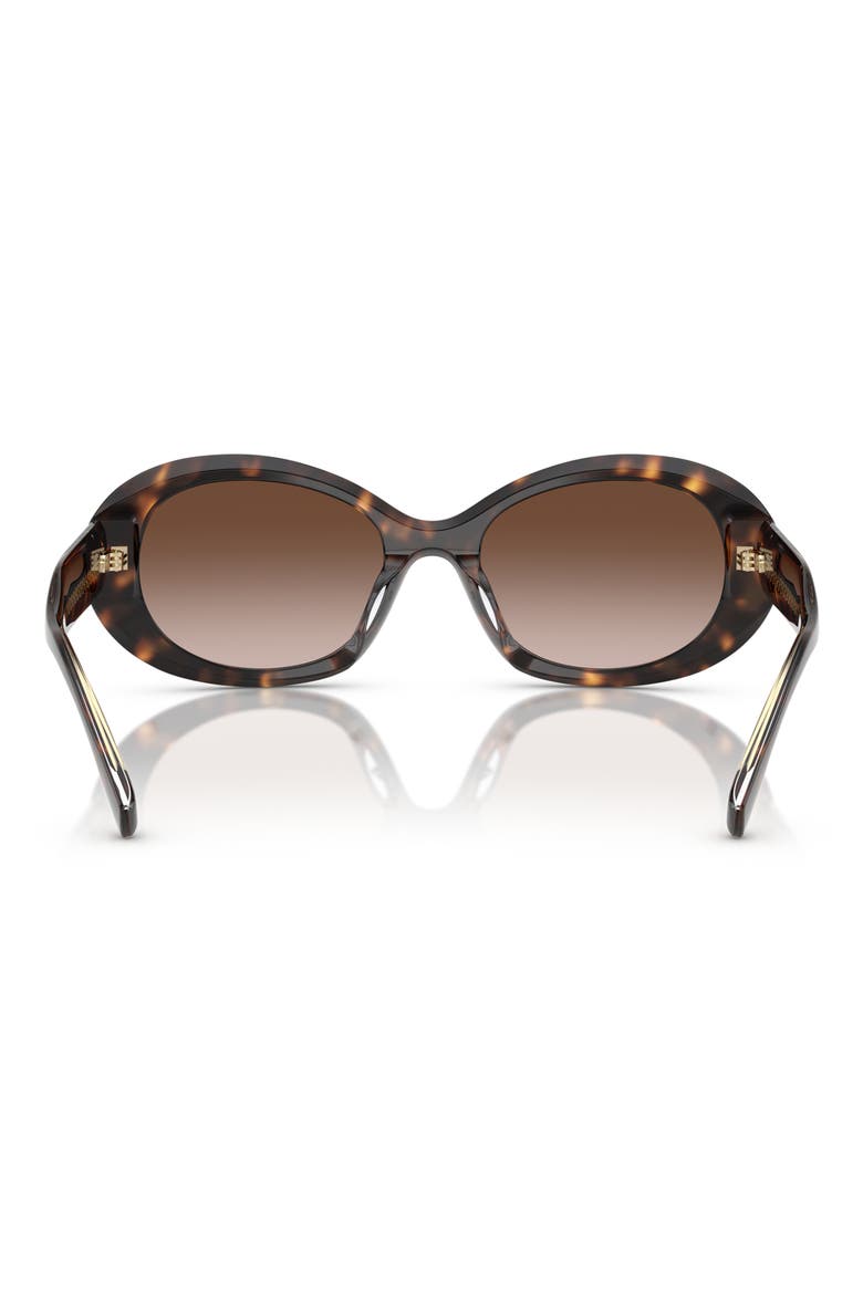 53mm Gradient Oval Sunglasses, Alternate, color, TORTOISE