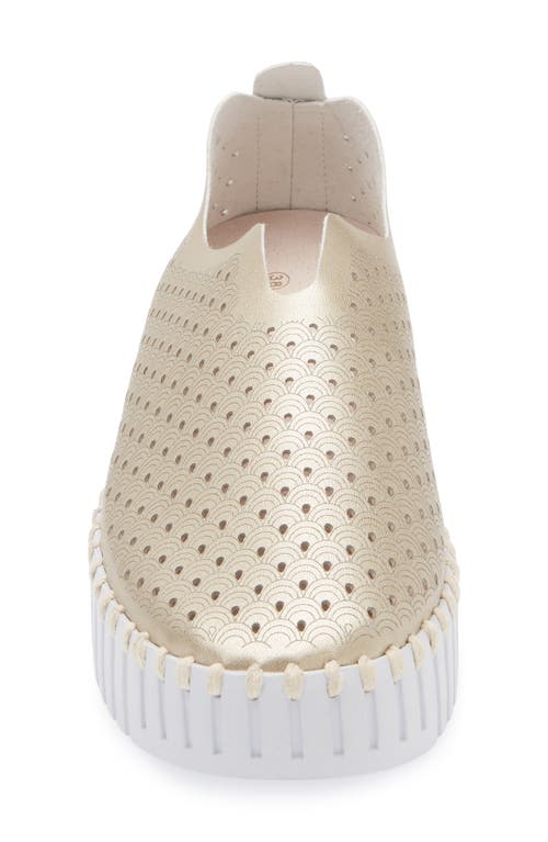 Ilse Jacobsen Tulip Sneaker In Platino
